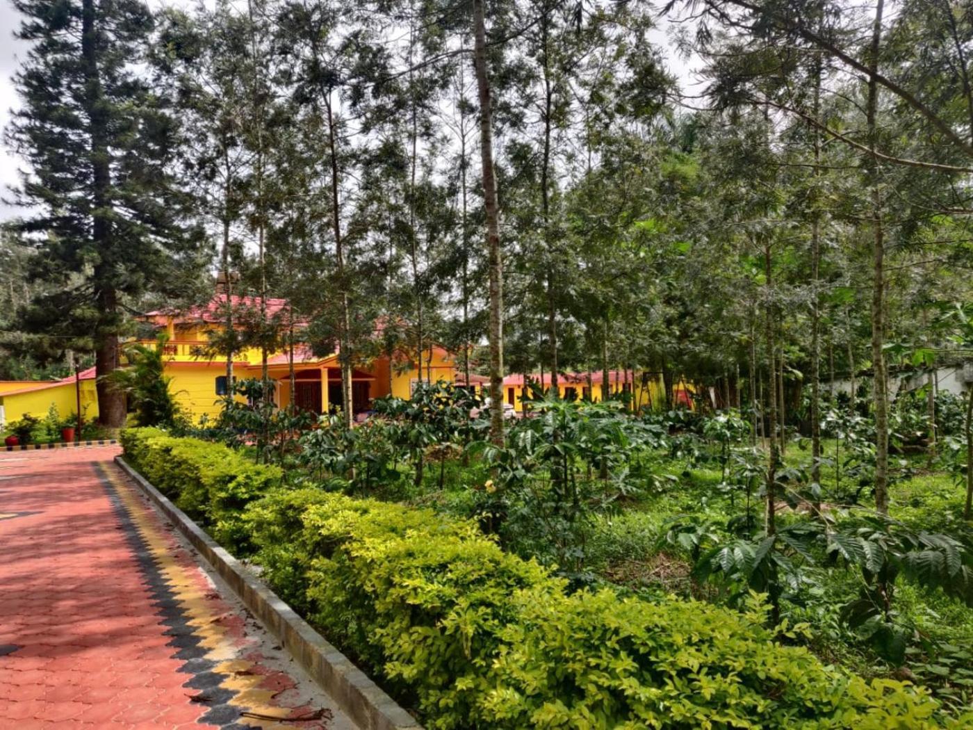 Coffeebean Villa - Unwind & Rejuvenate Sakleshpur Eksteriør bilde
