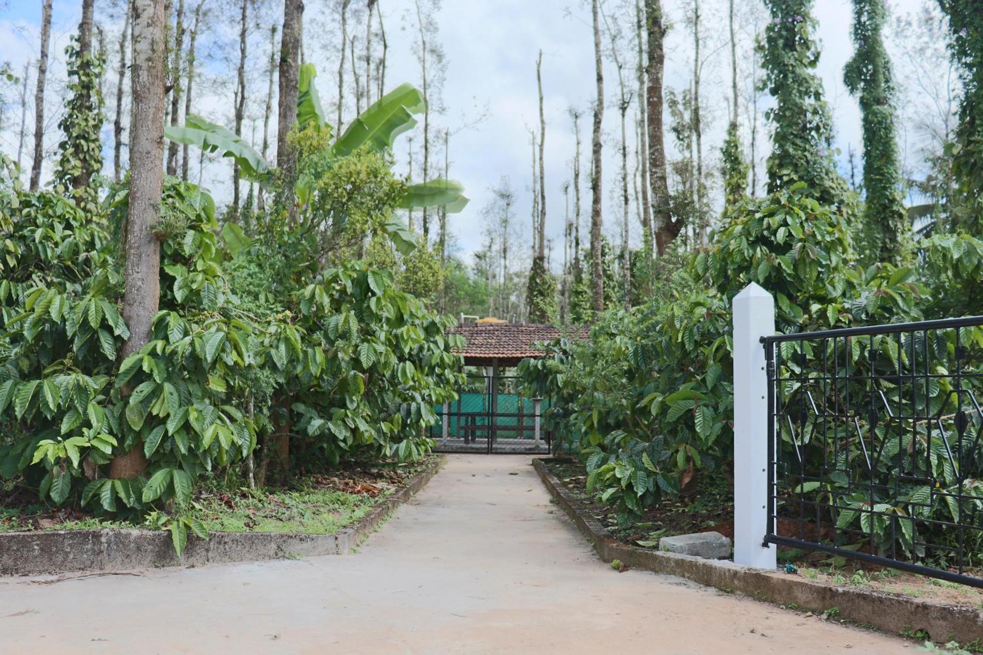 Coffeebean Villa - Unwind & Rejuvenate Sakleshpur Eksteriør bilde